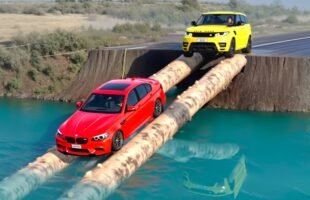 Cars vs Impossible Log Bridge Challenge in BeamNG Drive!