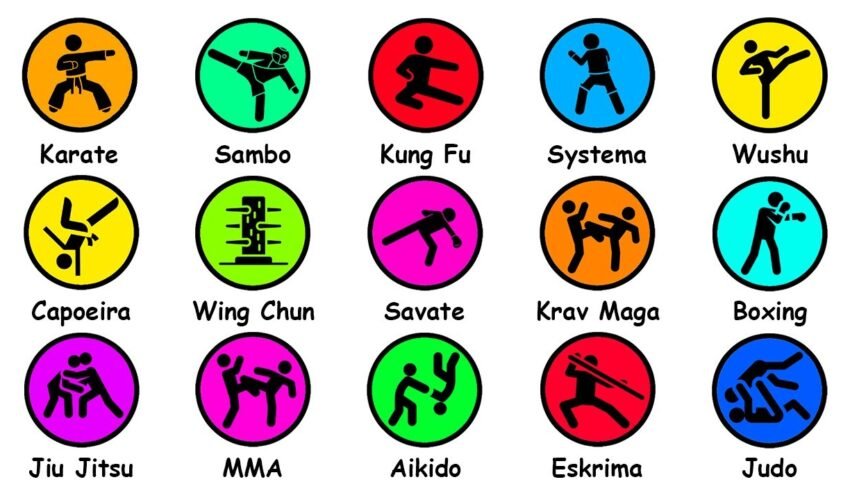 Every Martial Art Type Explained in 12 Minutes