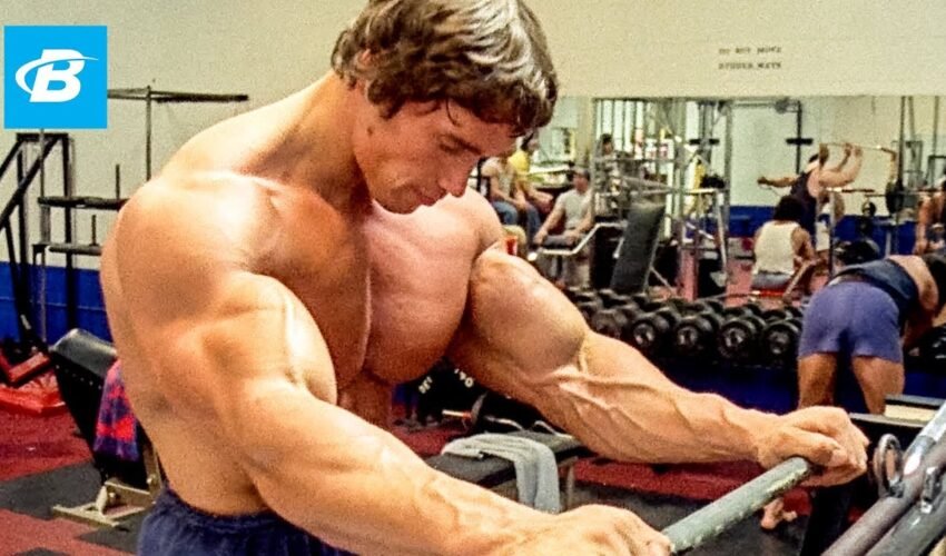 How To Train For Mass