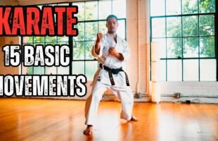 KARATE 15 BASIC MOVEMENTS 🥋⛩️ | SHOTOKAN KARATE