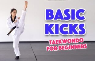 Learn Martial Arts: 3 Basic Kicks for Beginners