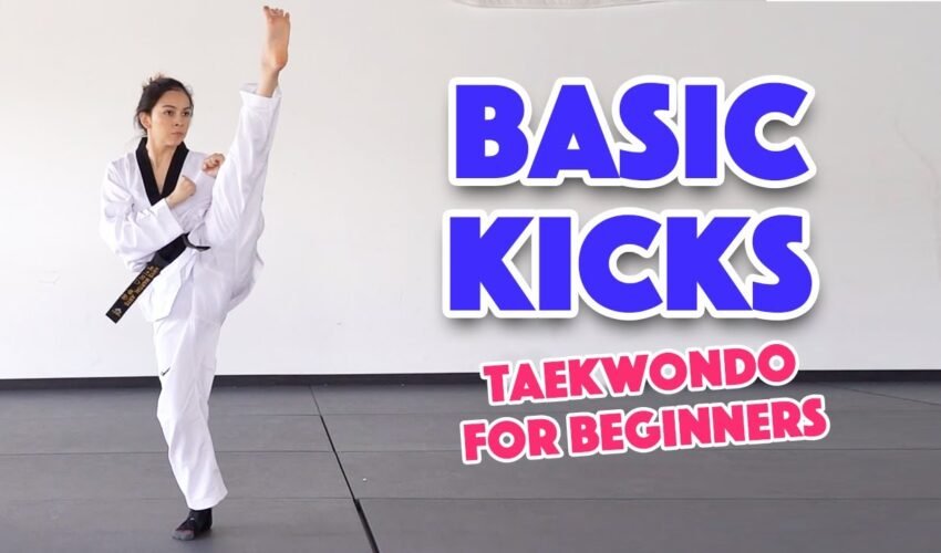Learn Martial Arts: 3 Basic Kicks for Beginners