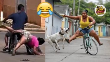 THE BEST FUNNY VIDEOS 😅 | Try Not To Laugh Challenge 😂 Funniest Comedy Compilation