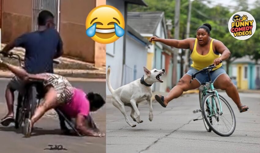 THE BEST FUNNY VIDEOS 😅 | Try Not To Laugh Challenge 😂 Funniest Comedy Compilation