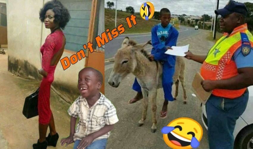 Top 99 Try Not To Laugh Hardest Challenge In 2025//Most Funniest Videos On The Internet