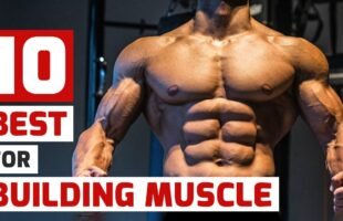 Top Trainers Agree, These Are the 10 Best Muscle-Building Exercises
