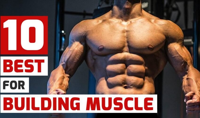 Top Trainers Agree, These Are the 10 Best Muscle-Building Exercises