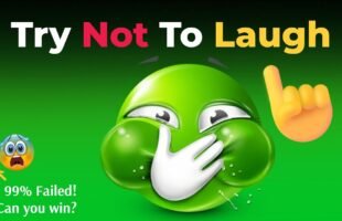 Try Not to Laugh Challenge (IMPOSSIBLE) Laugh and You Lose!