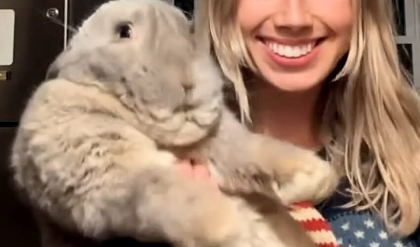 Woman brings home meat bunny. He starts to act like a dog.