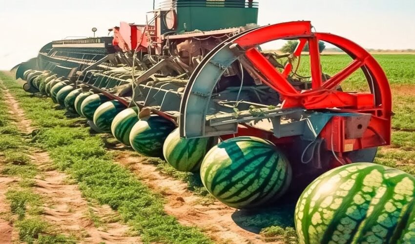 Amazing Agriculture Machines Operating At An INSANE LEVEL