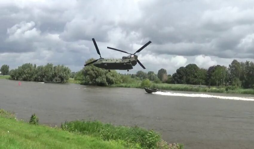 Chinook chasing a boat