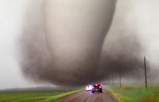 Craziest Nature Videos of the Decade