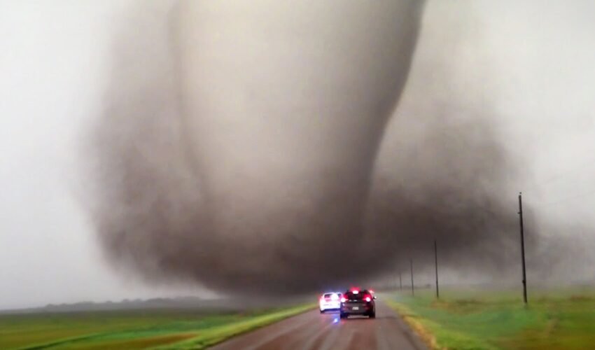Craziest Nature Videos of the Decade