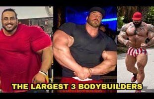 Meet The 3 Biggest Bodybuilders In The World.