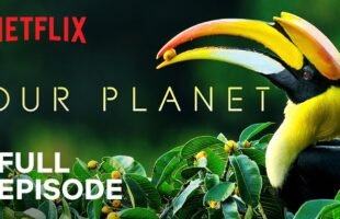 Our Planet | Forests | FULL EPISODE | Netflix