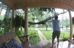 PEOPLE VS NATURE⚡Extreme Weather Destroyed Them