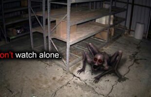 SCARY Videos So DEEPLY EVIL They Will Follow You INTO Your DREAMS!
