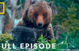 Surviving Grand Teton: America's National Parks (Full Episode) | Wild West Wonders