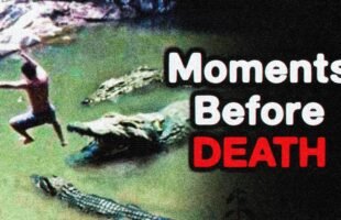 the Most Disturbing Videos Before Disasters [Vol.2] Iceberg