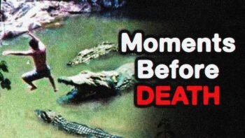 the Most Disturbing Videos Before Disasters [Vol.2] Iceberg