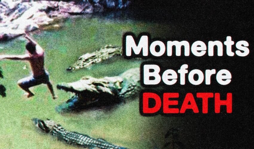 the Most Disturbing Videos Before Disasters [Vol.2] Iceberg