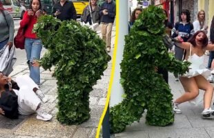 Top Funniest Moments Bushman Prank 2025 Part 1