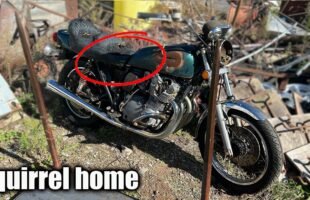 Can I Get This $300 Old Suzuki Motorcycle Running?