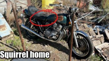 Can I Get This $300 Old Suzuki Motorcycle Running?