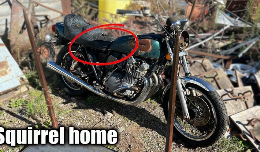Can I Get This $300 Old Suzuki Motorcycle Running?