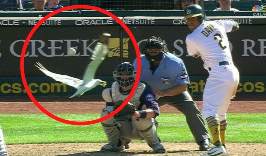 Craziest "1 in a Trillion" Moments in Sports History