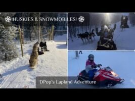 🐺 Husky Sledding & Snowmobiling in Lapland ❄️ | Our Magical Family Adventure!