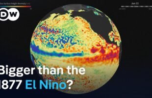 A historic El Nino is forming. Here's why scientists are worried | DW News