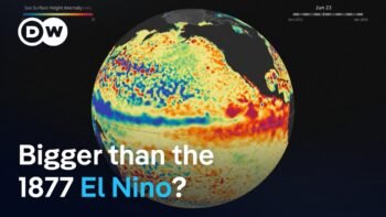 A historic El Nino is forming. Here's why scientists are worried | DW News