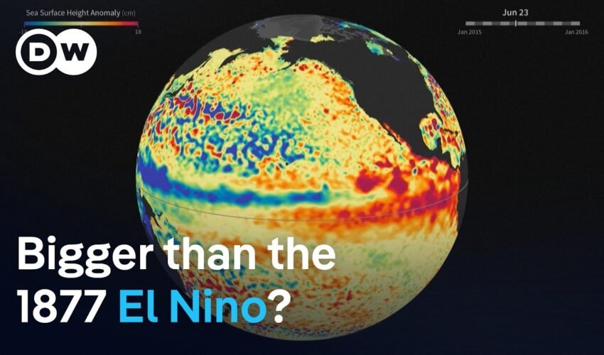 A historic El Nino is forming. Here's why scientists are worried | DW News