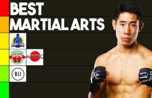 Best Martial Arts Ranked By MMA Fighter