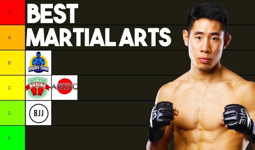 Best Martial Arts Ranked By MMA Fighter