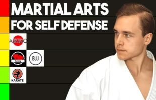 Every Martial Art Ranked By Jesse Enkamp