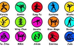 Every Martial Art Type Explained in 12 Minutes