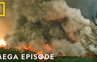 Global Disasters | Witness to Disaster MEGA Episode | National Geographic