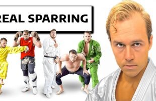 I Sparred Every Martial Art In One Day