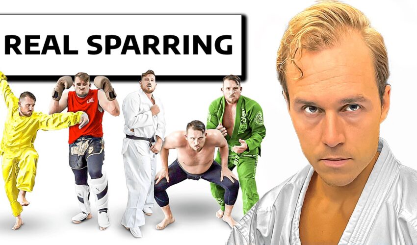 I Sparred Every Martial Art In One Day