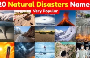🌍 Natural Disasters for Kids | Popular Natural Disasters Vocabulary | Preschool Educational Video