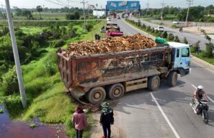 BE WATCHFUL OMG! HEAVY MACHINERY INCREDIBLE MASSIVE LAND FILL BY DUMP TRUCK & BULLDOZER IN ACTION!