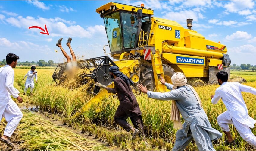 CLASON 8070 COMBINE RICE HARVESTER MACHINE FIELD ACTION & GRAIN UNLOADING TEST | HEAVY DUTY | 4K!