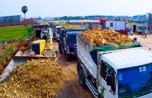 EXTREME HEAVY MACHINERY!! BULLDOZER PUSHING AND DUMP TRUCK UNLOADING!