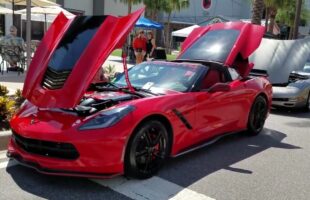 His and Hers Corvettes at the Florida Car Show! You Have to See This