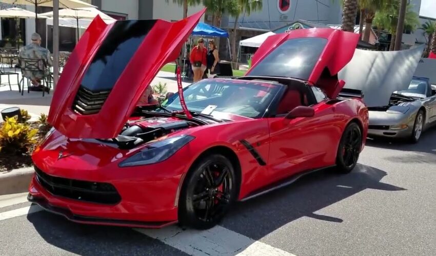 His and Hers Corvettes at the Florida Car Show! You Have to See This