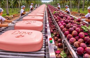 HOW IT'S MADE | MILLIONS OF BEETROOTS TURNED INTO LUXURY BEAUTY SOAP!