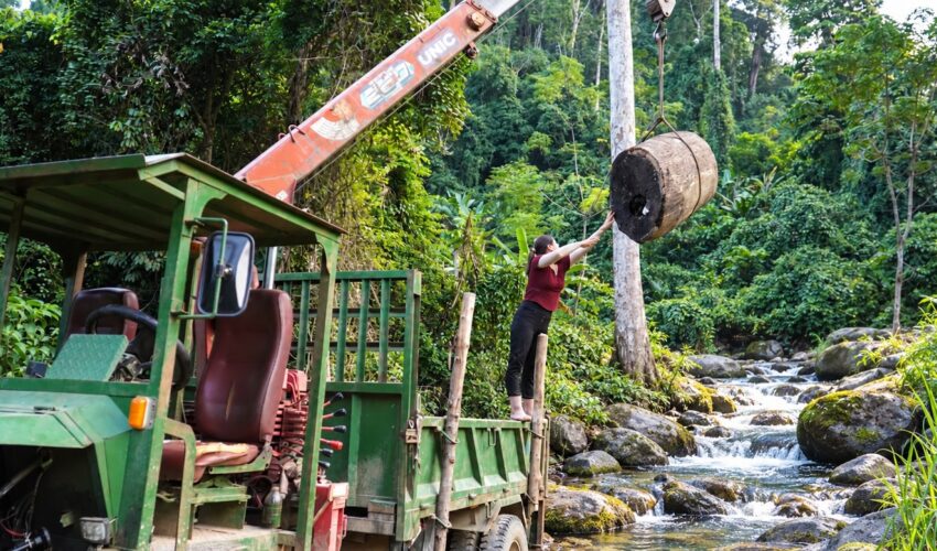 INCREDIBLE HEAVY MACHINERY SKILLS: COLLECTING MASSIVE LOGS!