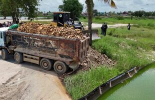 OHH!! HEAVY MACHINERY! MASSIVE INCREDIBLE LAND FILLING USING DUMP TRUCK & BULLDOZER PUSH SOIL!